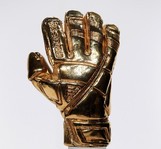 Picture of Golden Glove Award